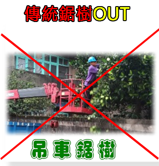 未标题-1.jpg.jpg