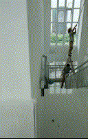 10006.gif