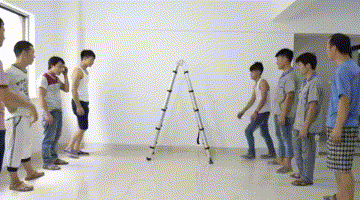 10020.gif